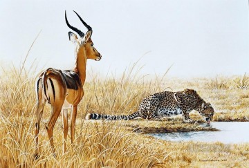 Animal Painting - guepardo y carnero impala